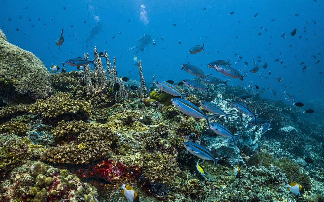 Project Digital Earth