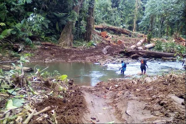 solomon logging case