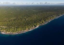 Niue, one of the world’s largest coral islands, is dependent on other states to help its protect its exclusive economic zone. Photograph: Richard Sidey/Galaxiid