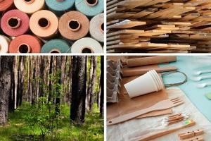 Forest in circular economy