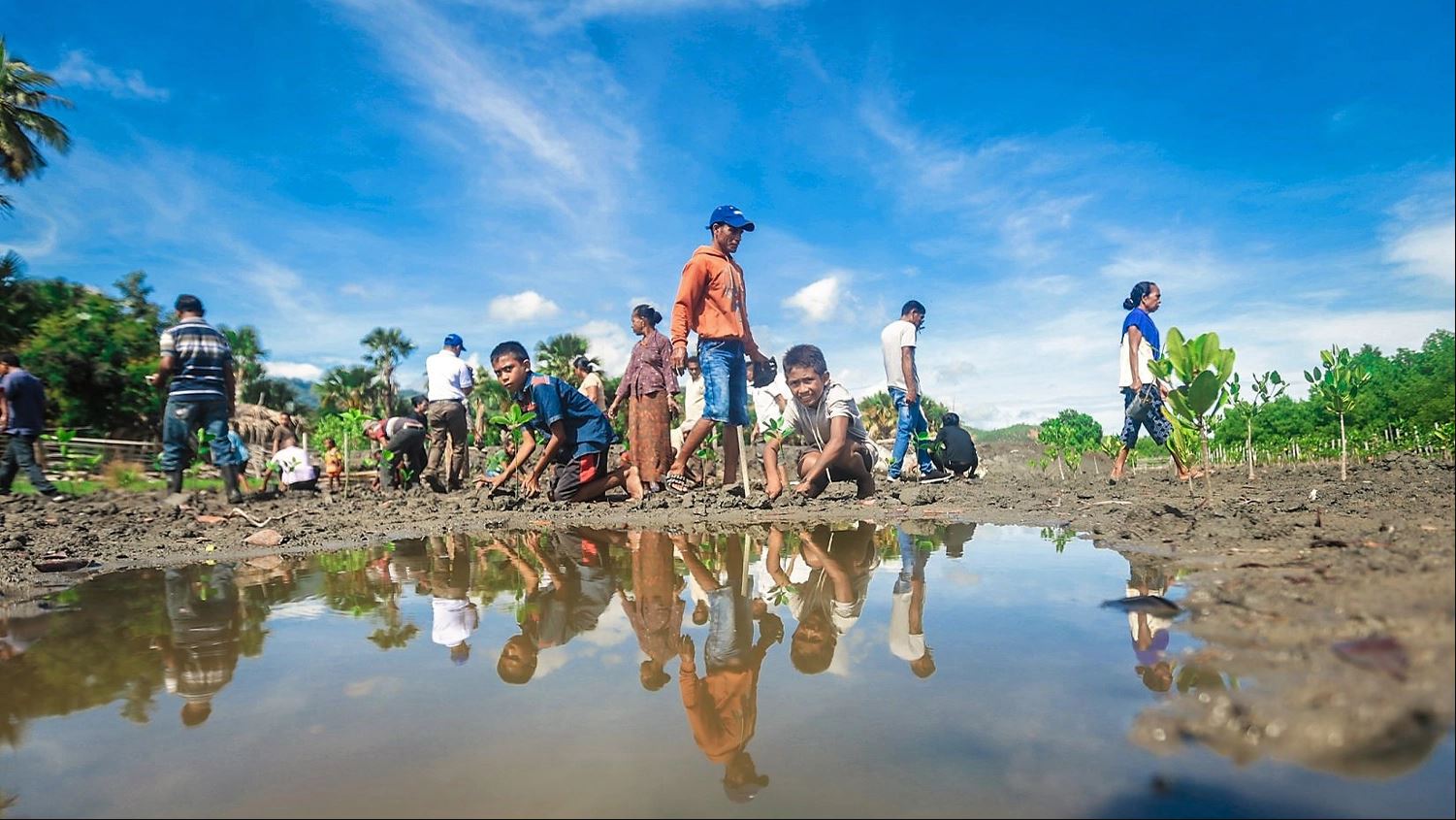 nature-based solutions