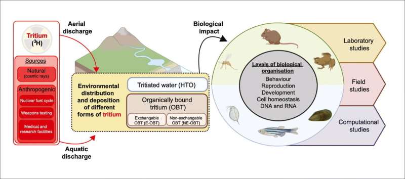 Graphical abstract