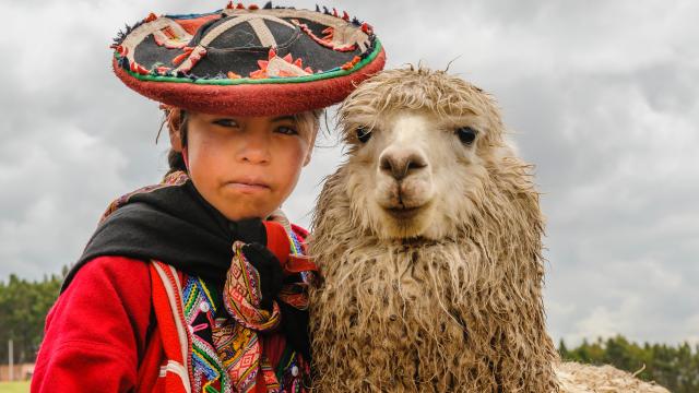 Girl from Cusco with alpaca - Peru