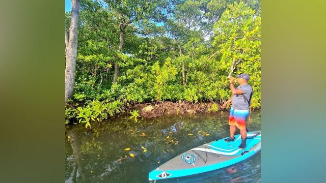 Bhagwan, Tian Lui Investment, Fiji, Nasese