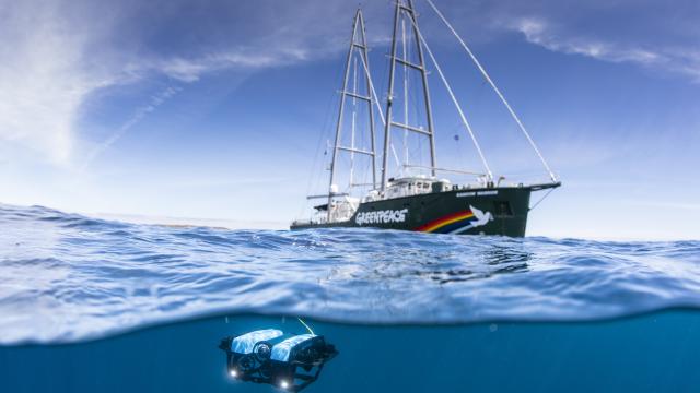 Greenpeace